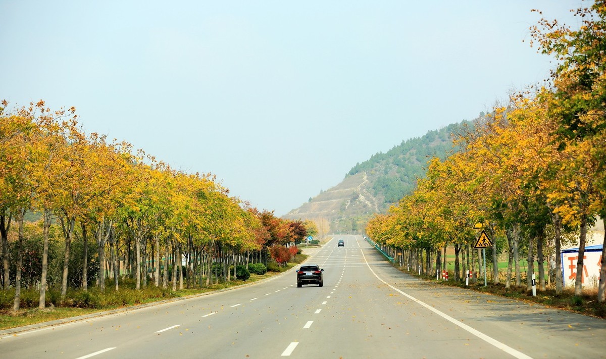 徐州及周边国道（秋色）