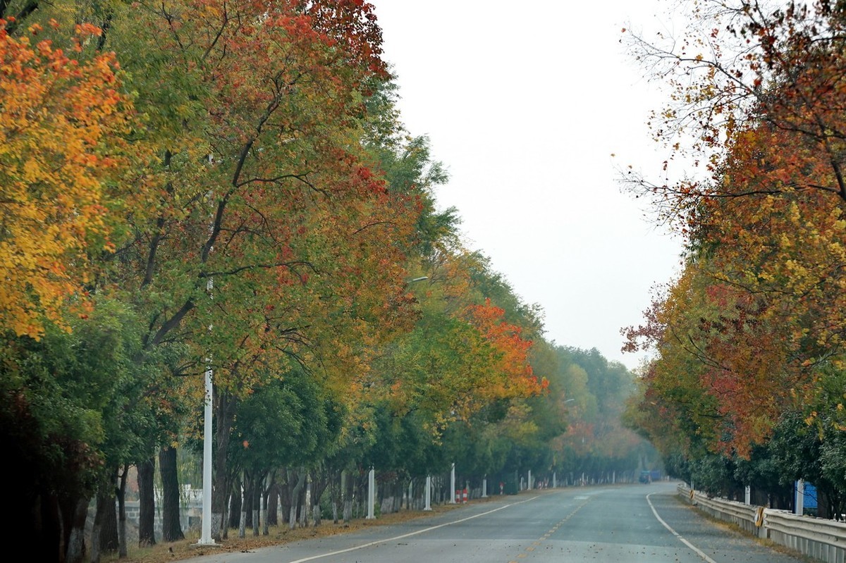 徐州及周边国道（秋色）