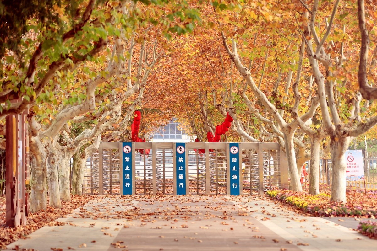 徐州及周边国道（秋色）