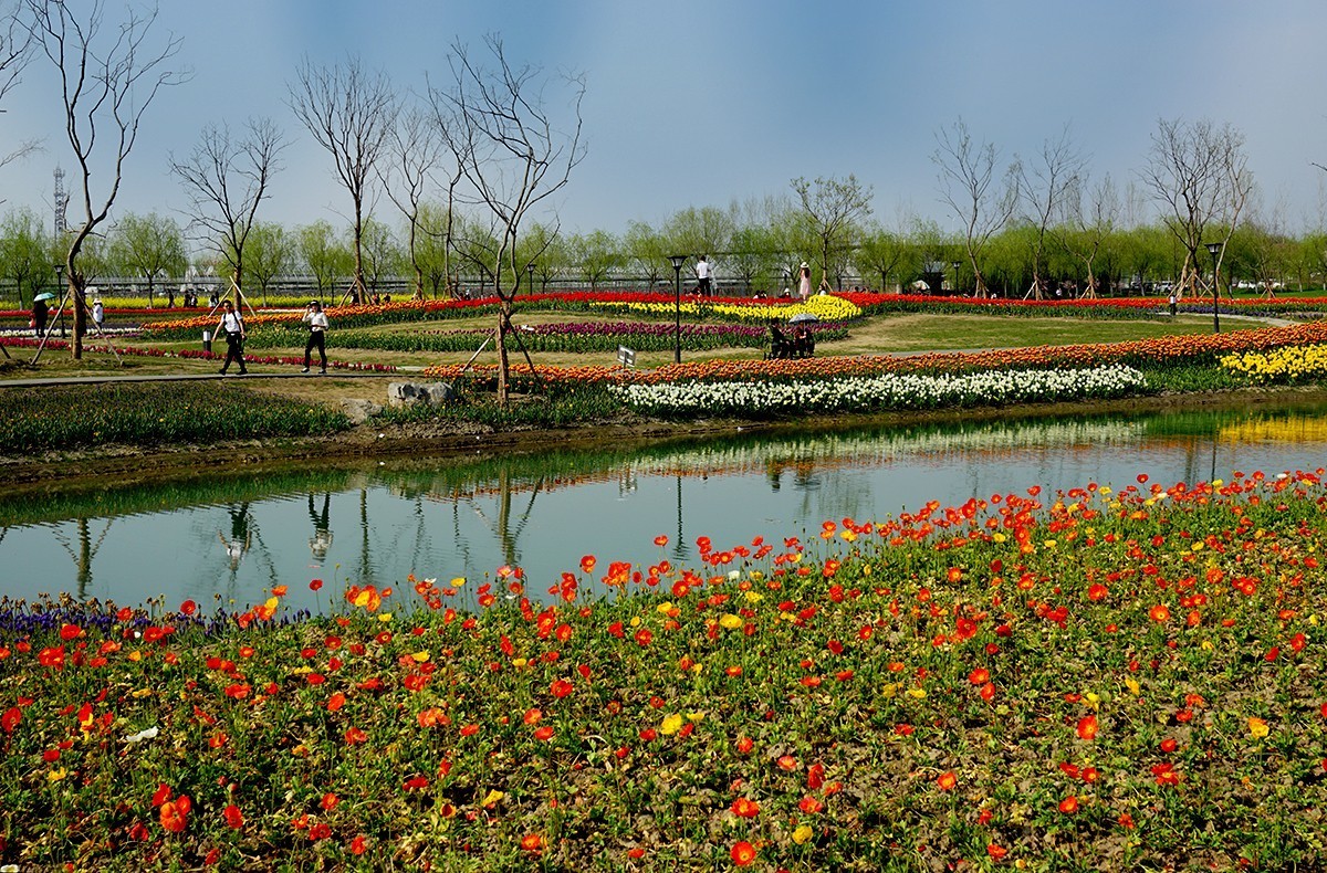 春暖花开（续1）