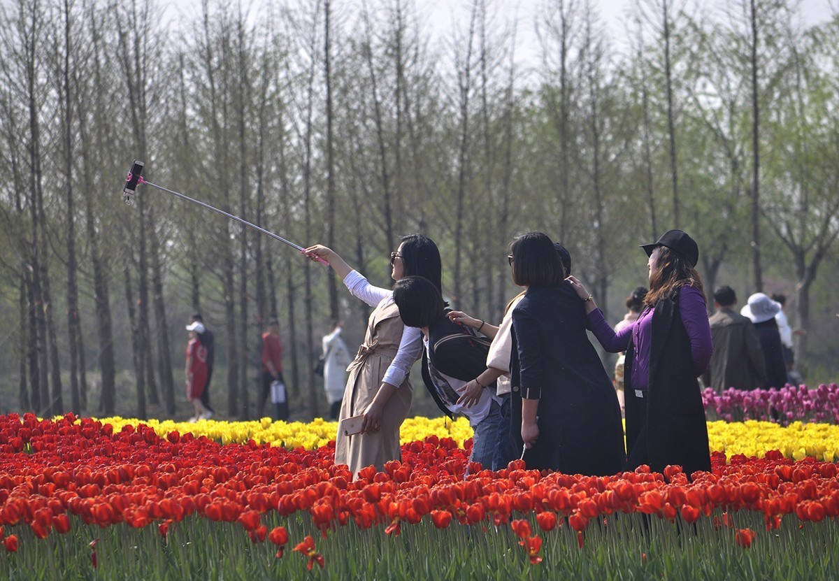 春暖花开（续1）