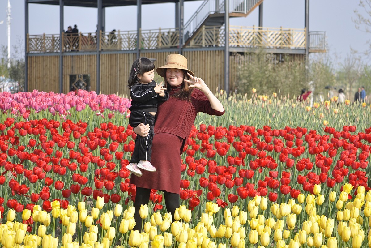 春暖花开（续1）