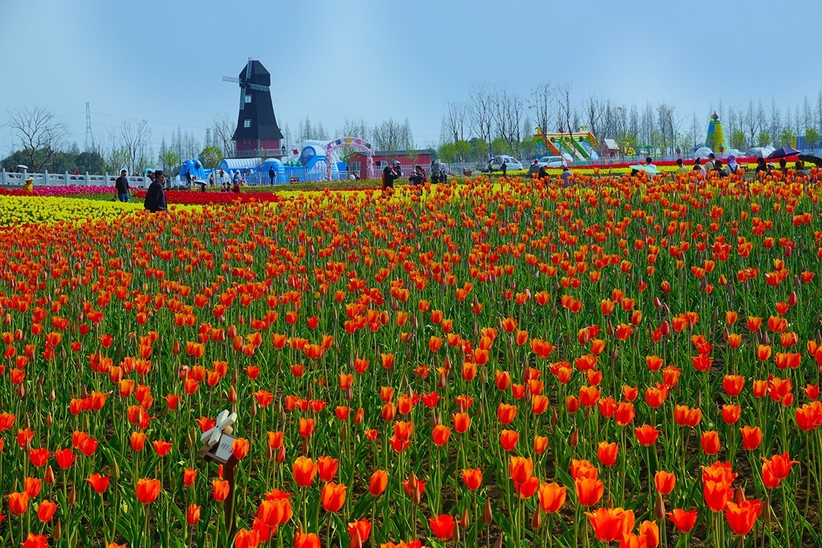 春暖花开（续1）