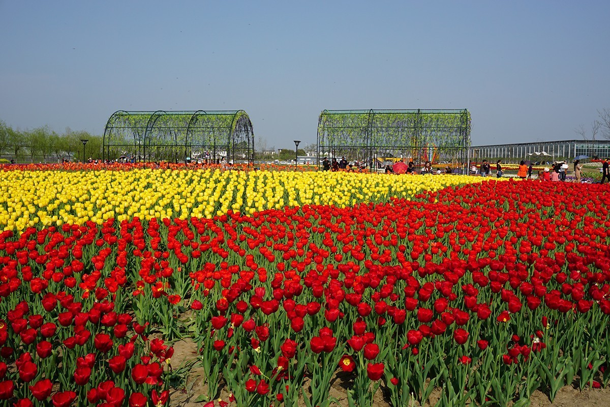 春暖花开（续1）