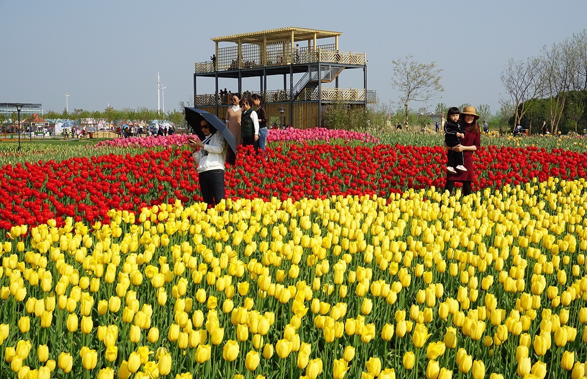 春暖花开（续1）