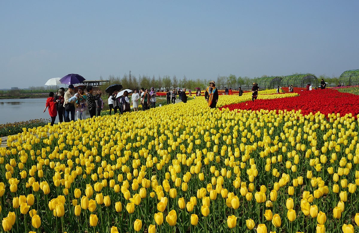 春暖花开（续1）