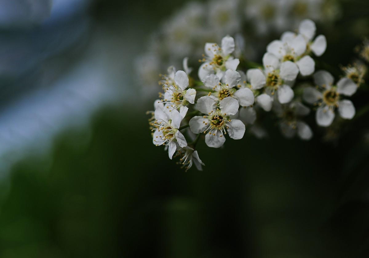 #版主坐堂#索尼大版星空(中国)2025年 5 月份优秀作品精选汇总