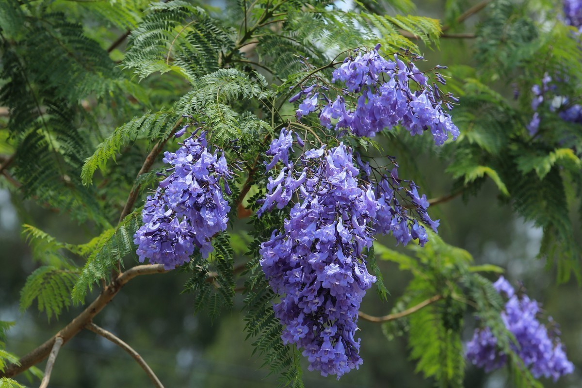 #版主坐堂#索尼大版星空(中国)2025年 5 月份优秀作品精选汇总