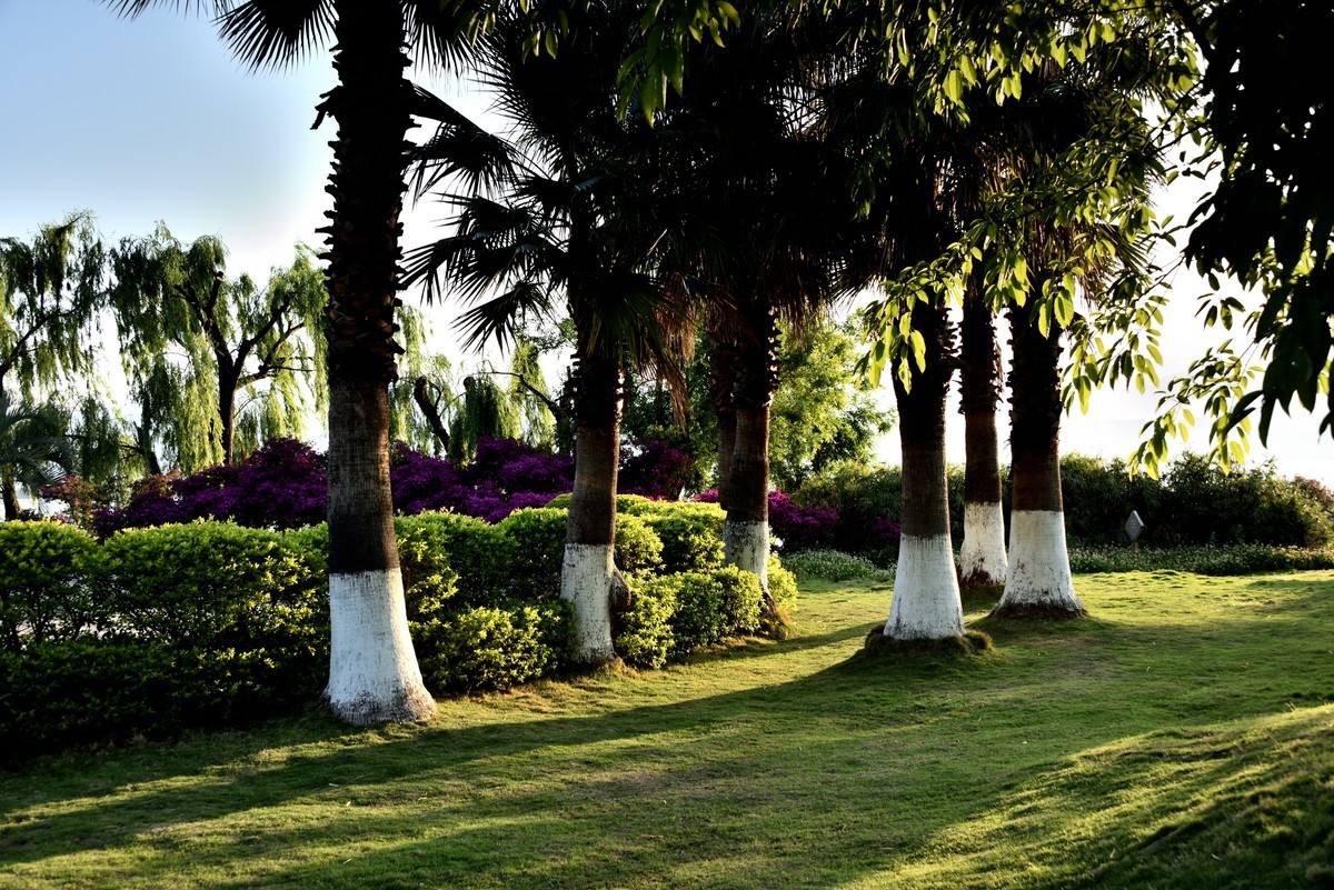 邛海湖畔【12】