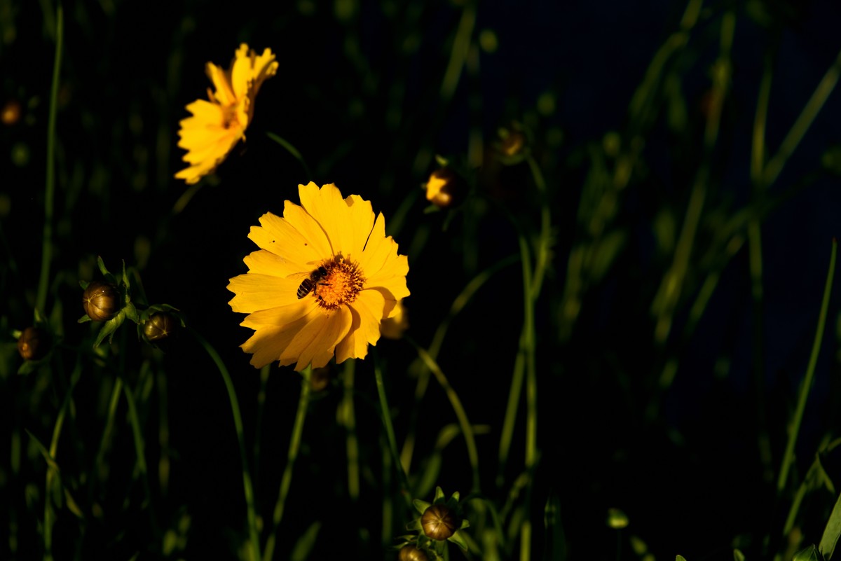 邛海湖畔【12】