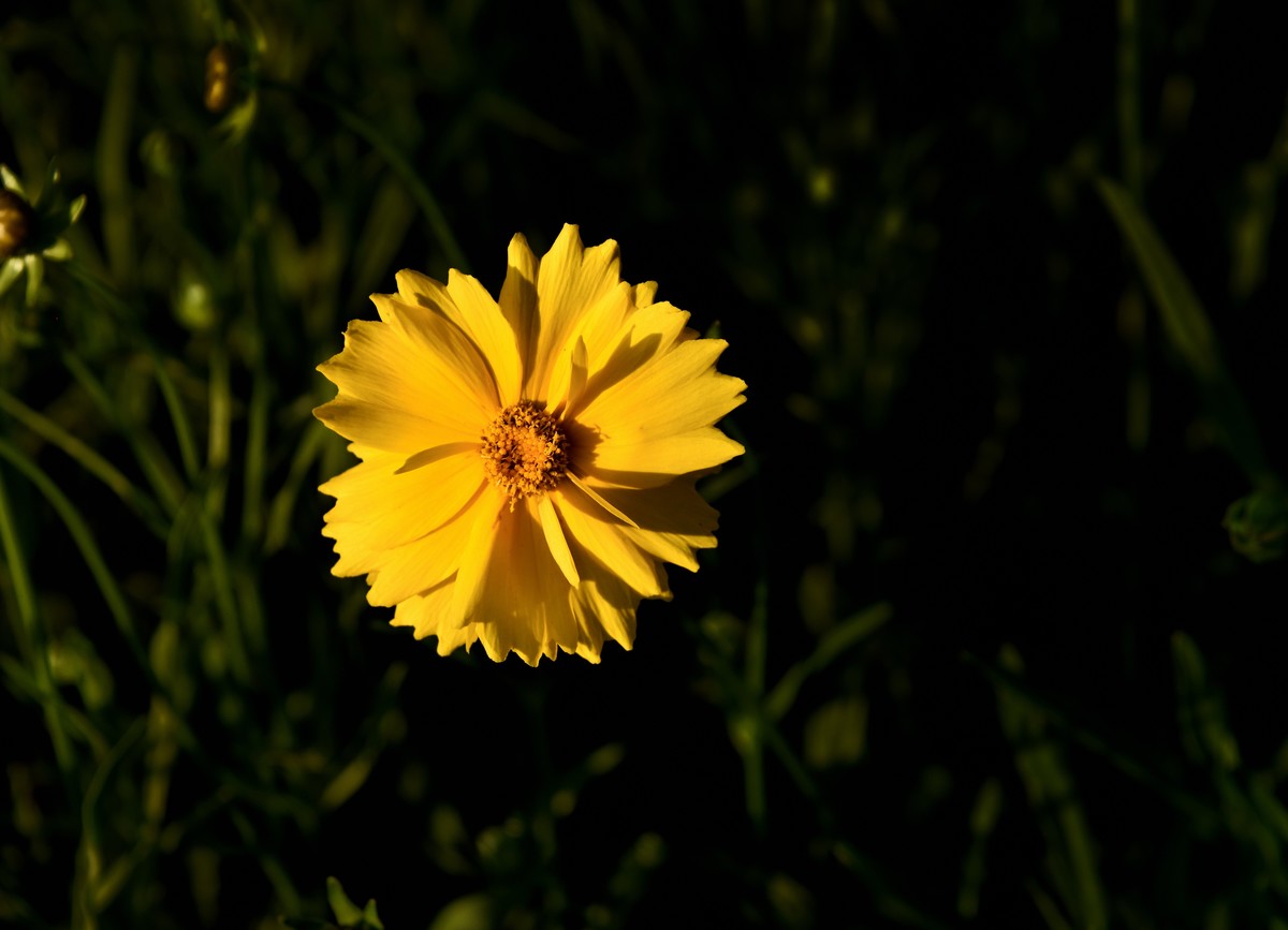 邛海湖畔【12】