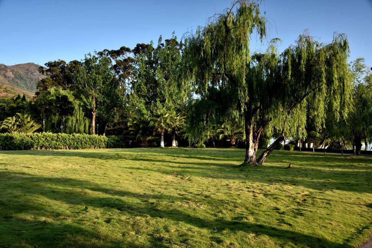 邛海湖畔【12】