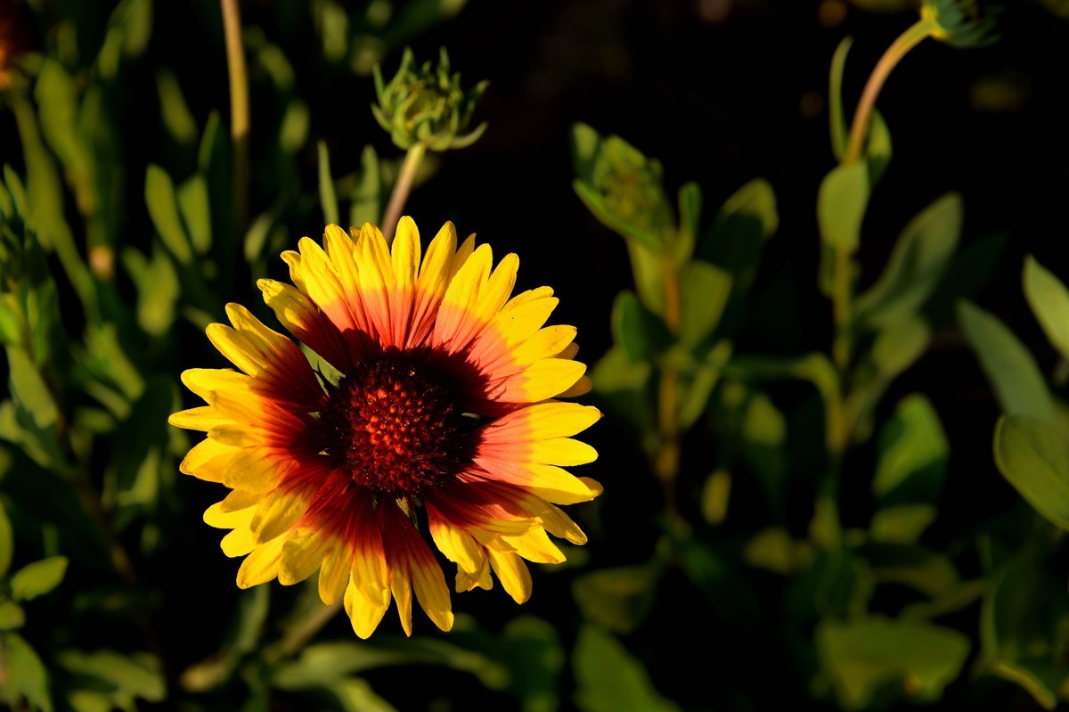 邛海湖畔【12】