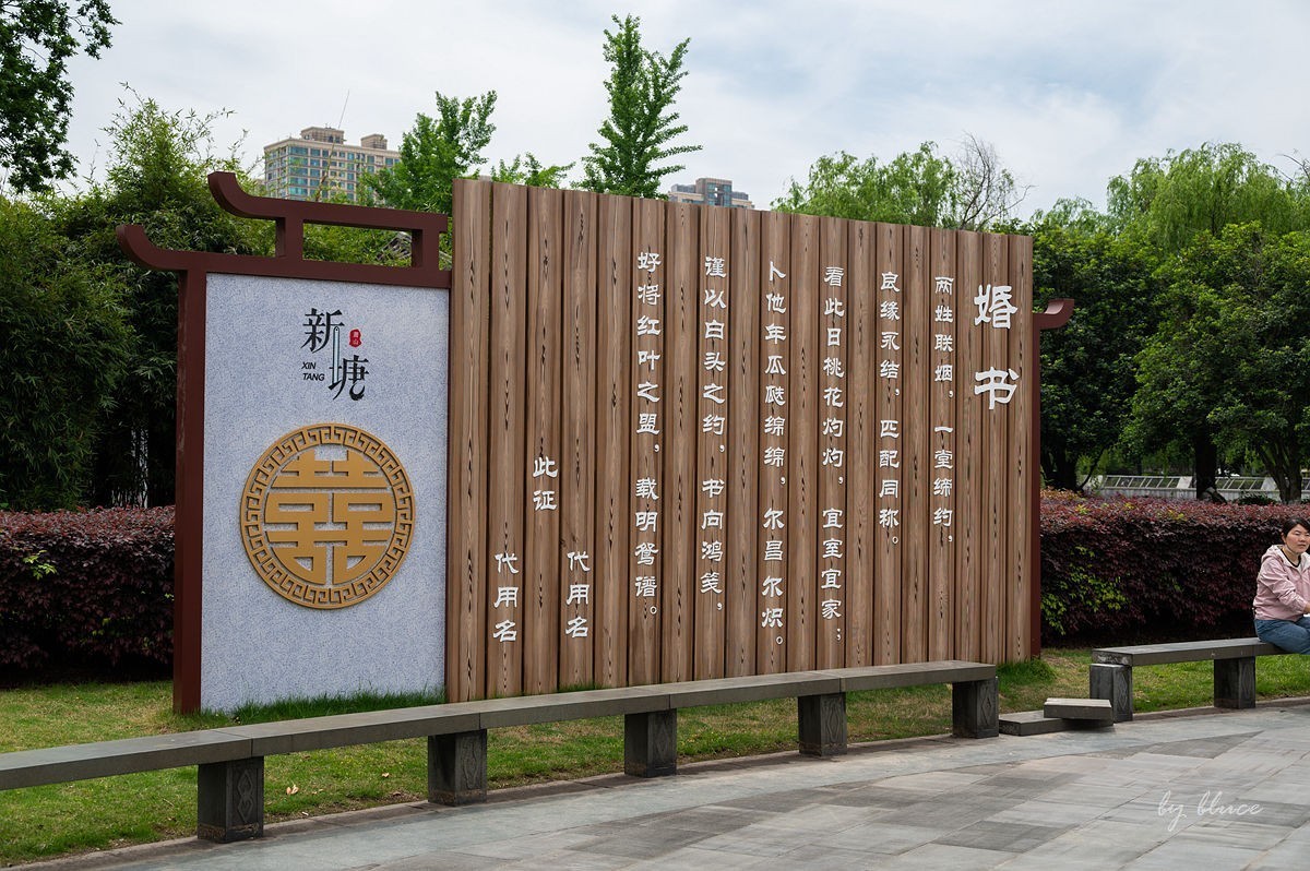 公园踏春赏花（11）