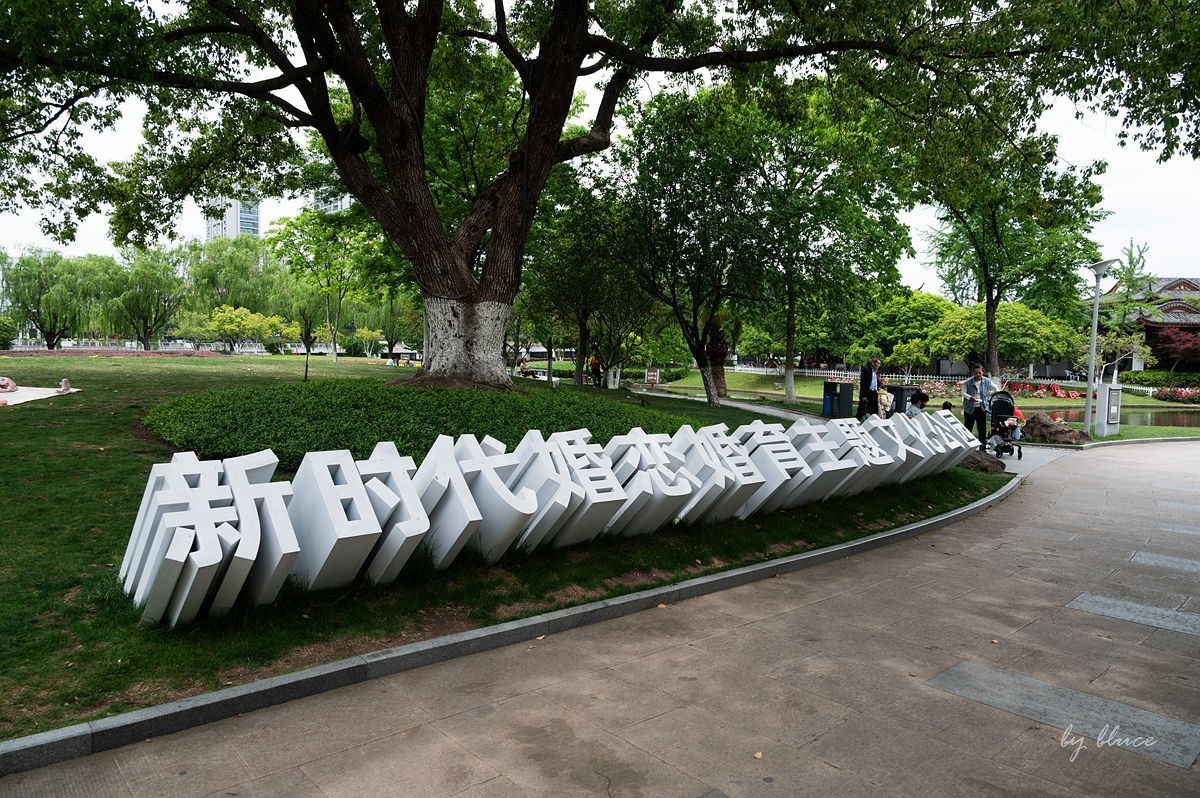 公园踏春赏花（11）