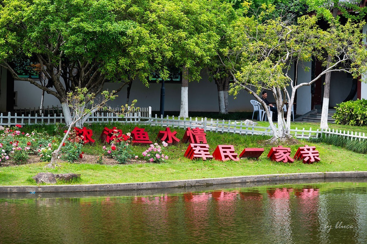 公园踏春赏花（11）