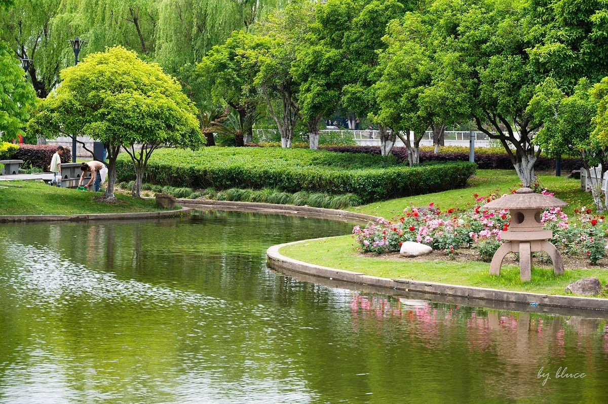 公园踏春赏花（11）