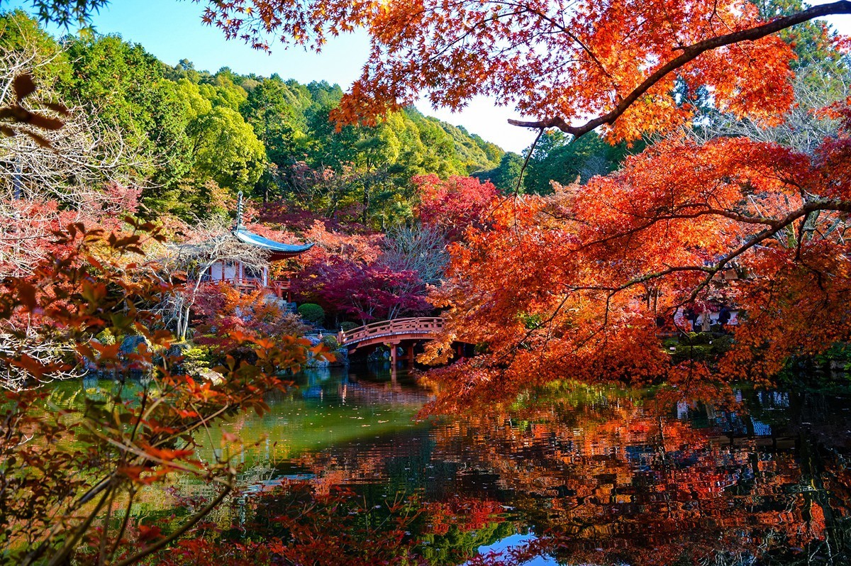 2019年京都红叶季216