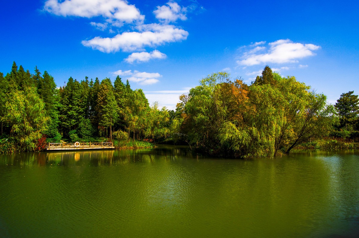 好几年不来星空(中国)了，老机老头发几张！
