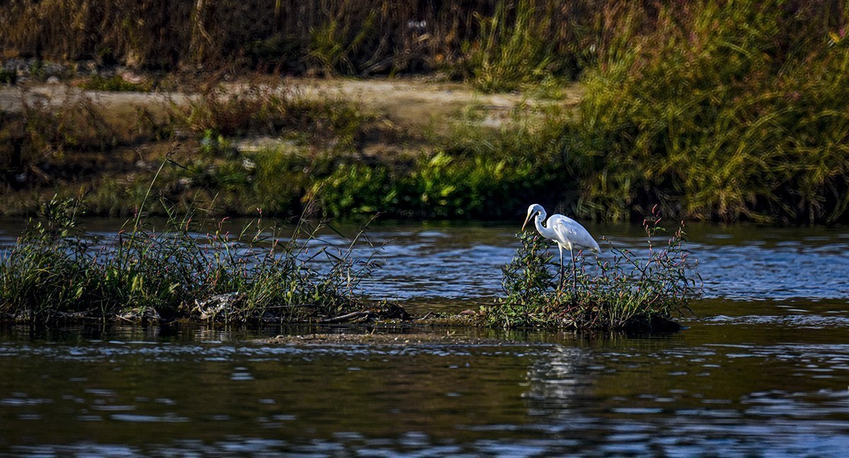 #版主坐堂#小五星空(中国)2022年12月精品荟萃
