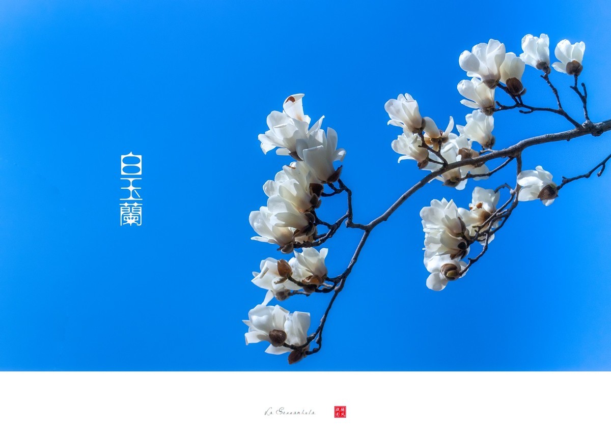 #版主坐堂#小五星空(中国)2022年12月精品荟萃