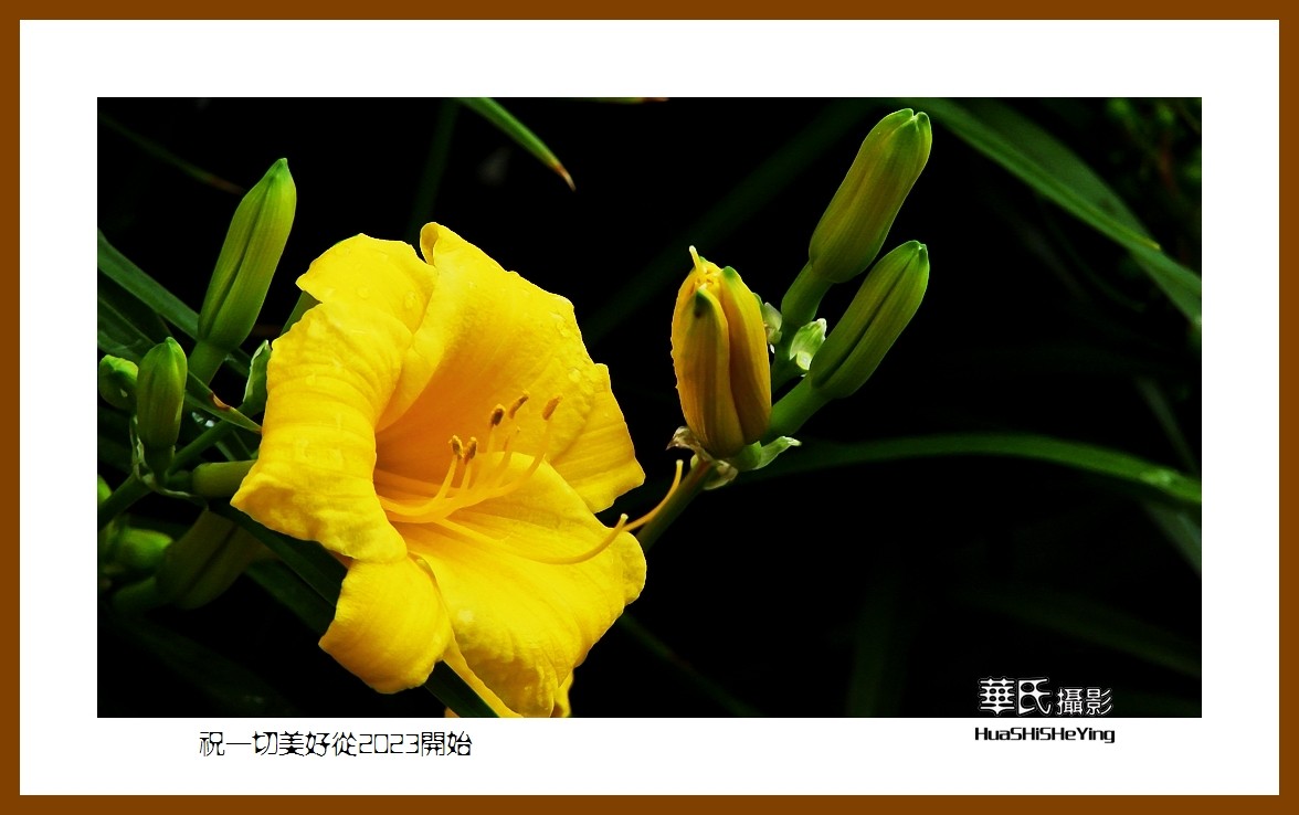 祝一切美好从2023开始—愿朋友们新年里健康平安