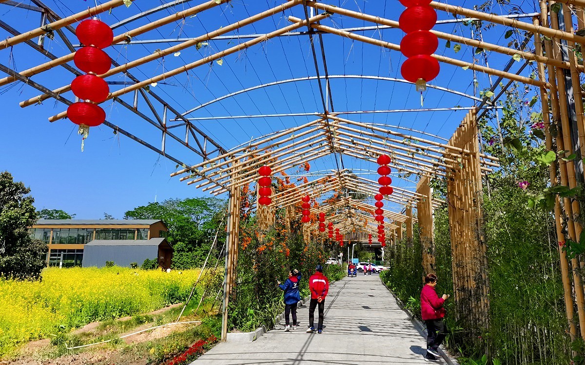 23104─ 春游长岭农业公园（3）