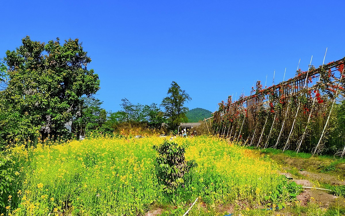 23104─ 春游长岭农业公园（3）