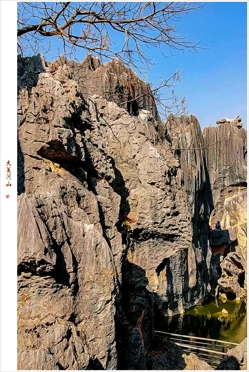 2023年第0200贴-石林抓拍（0327F）