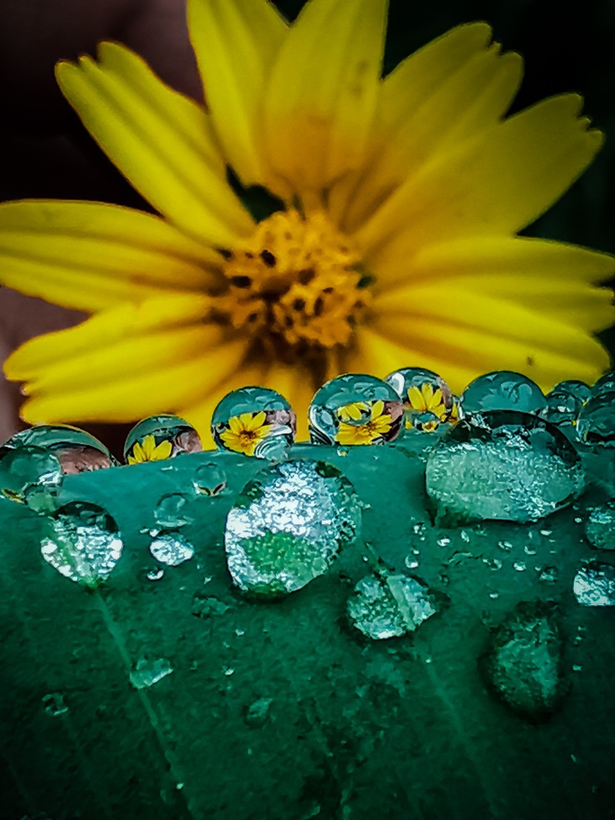 雨后