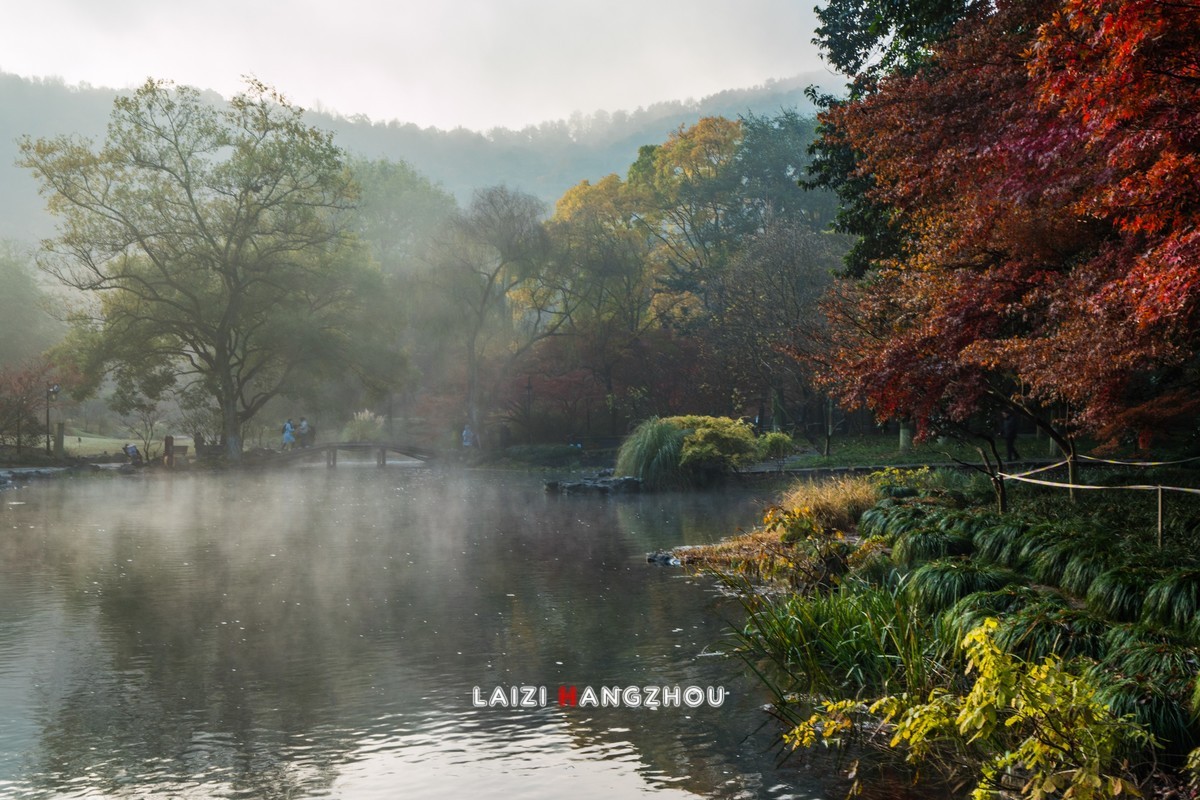 冬已至  秋未尽  (1)