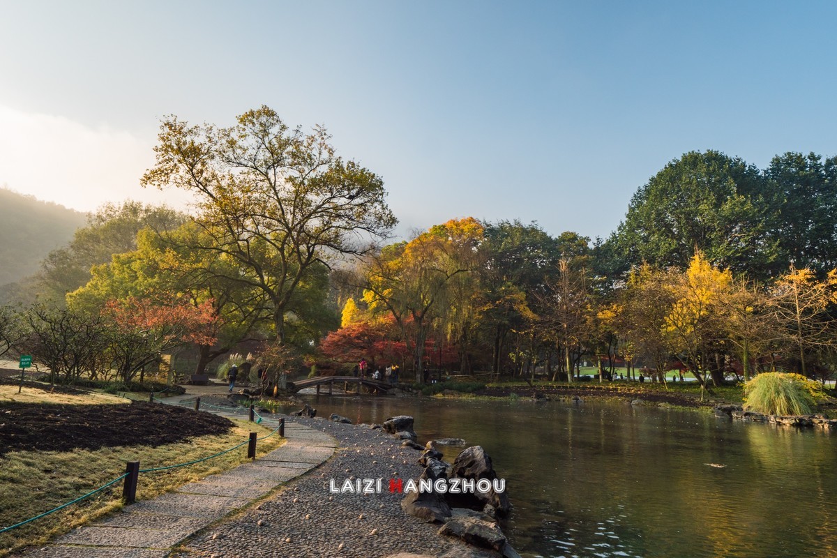 冬已至  秋未尽  (1)