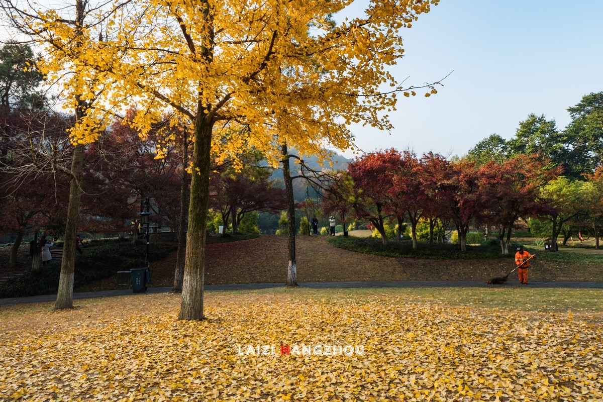冬已至  秋未尽  (1)