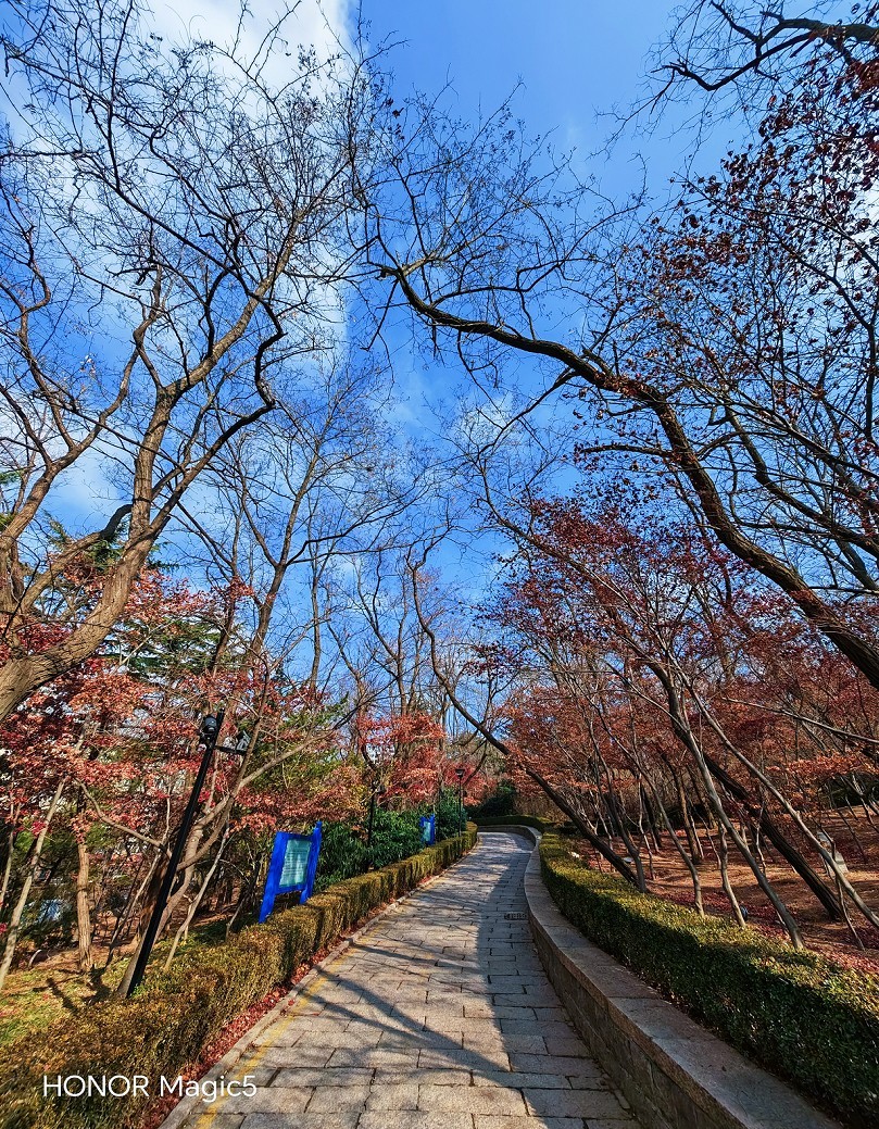 成都老巷子扫街抓怕片，还有几张刚买的手机实验片！
