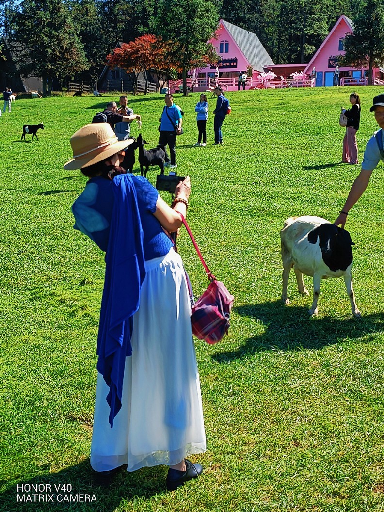 成都老巷子扫街抓怕片，还有几张刚买的手机实验片！