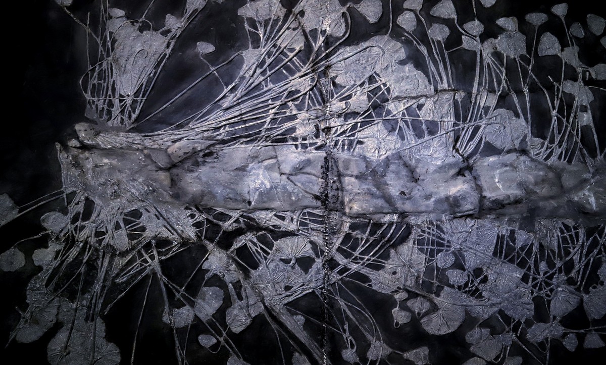 重庆 喀斯特地质