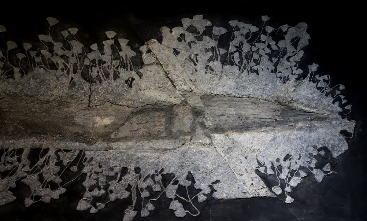 重庆 喀斯特地质