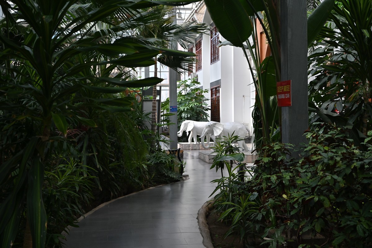 黄河金岸【沙坡头区】