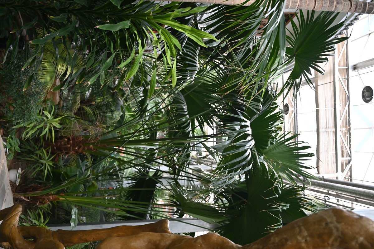 黄河金岸【沙坡头区】