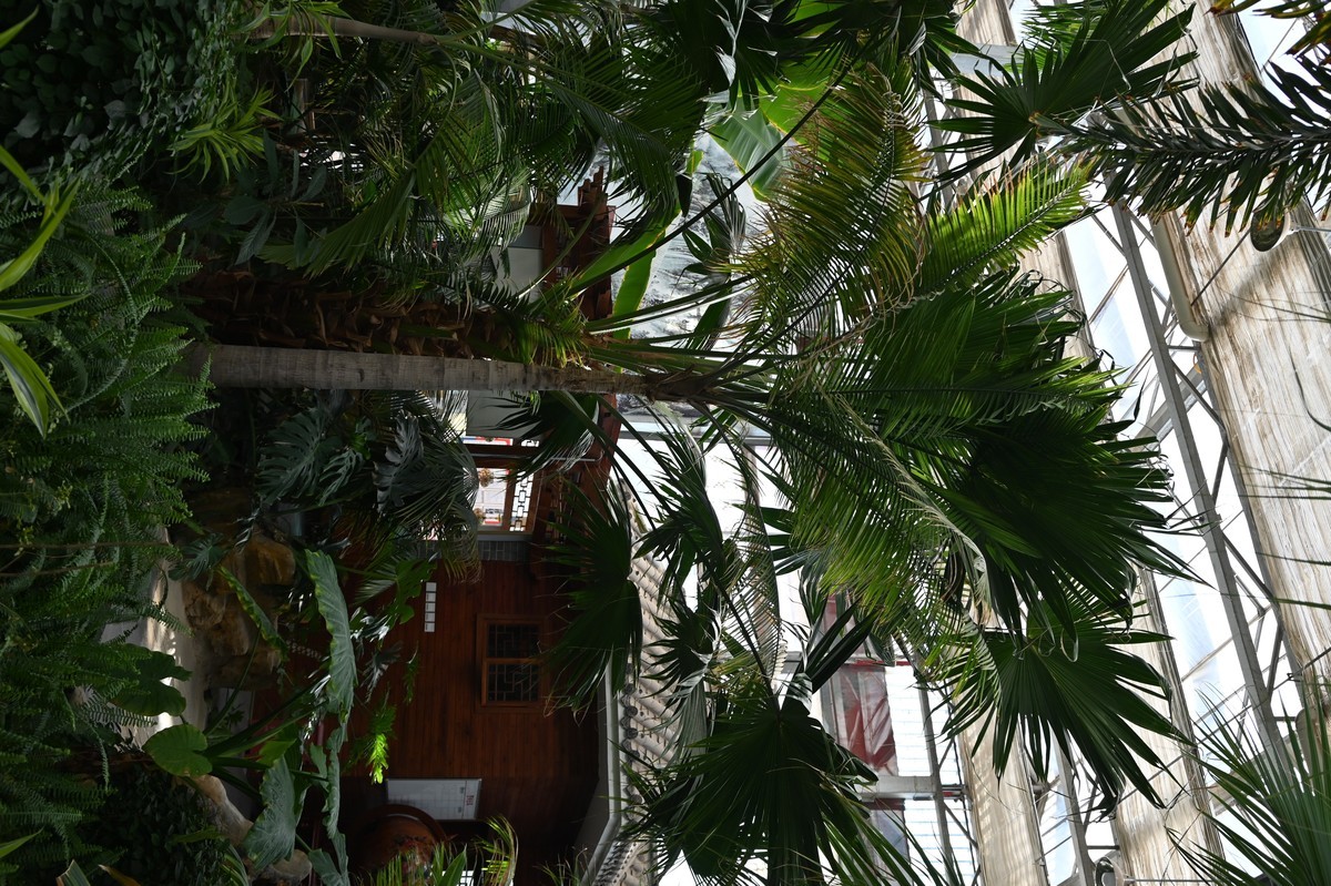 黄河金岸【沙坡头区】