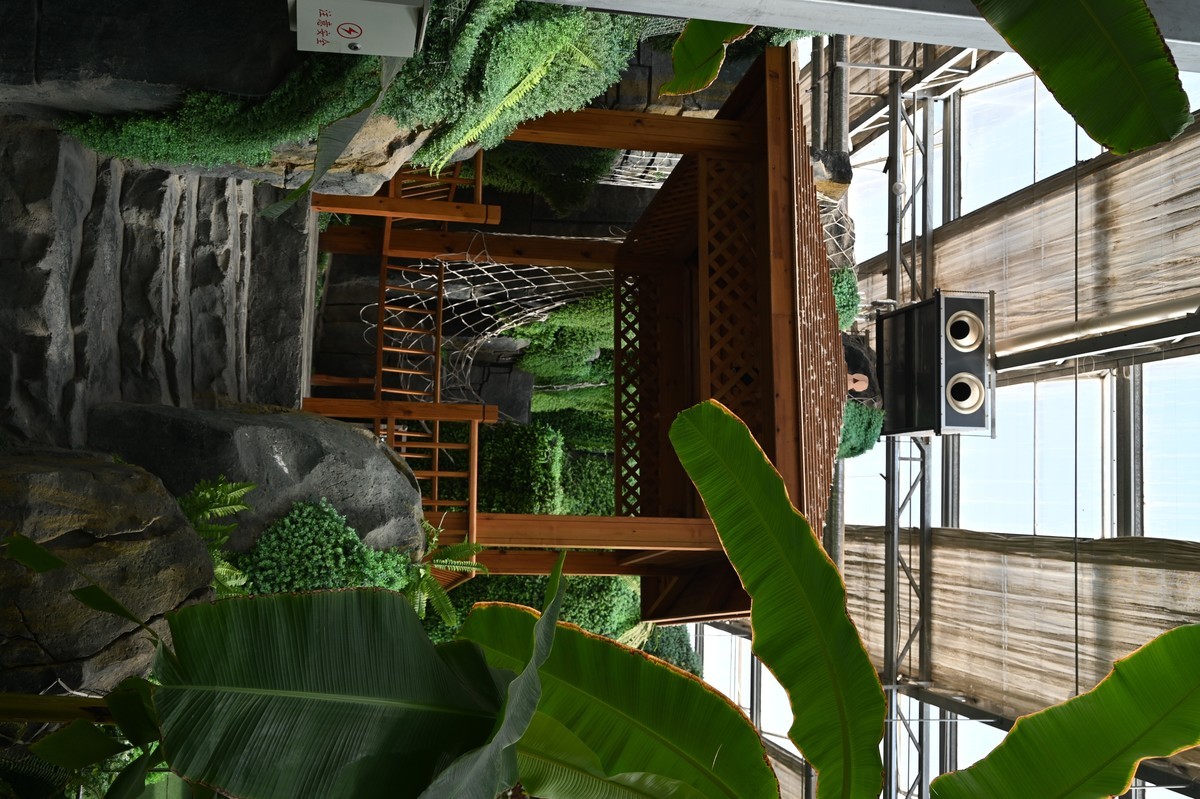 黄河金岸【沙坡头区】