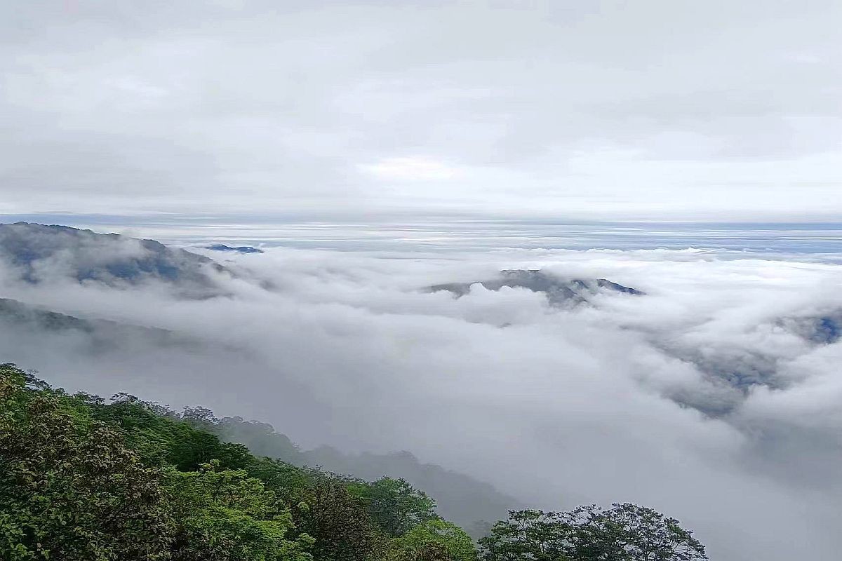 手机片     梵净山