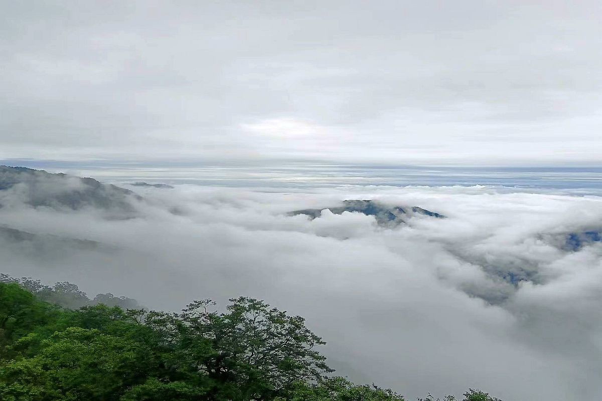 手机片     梵净山