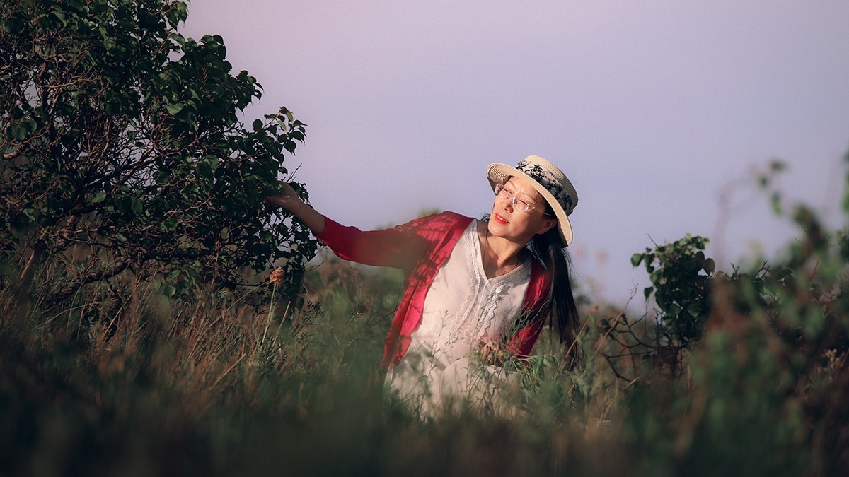 野山坡上的紫白诗意