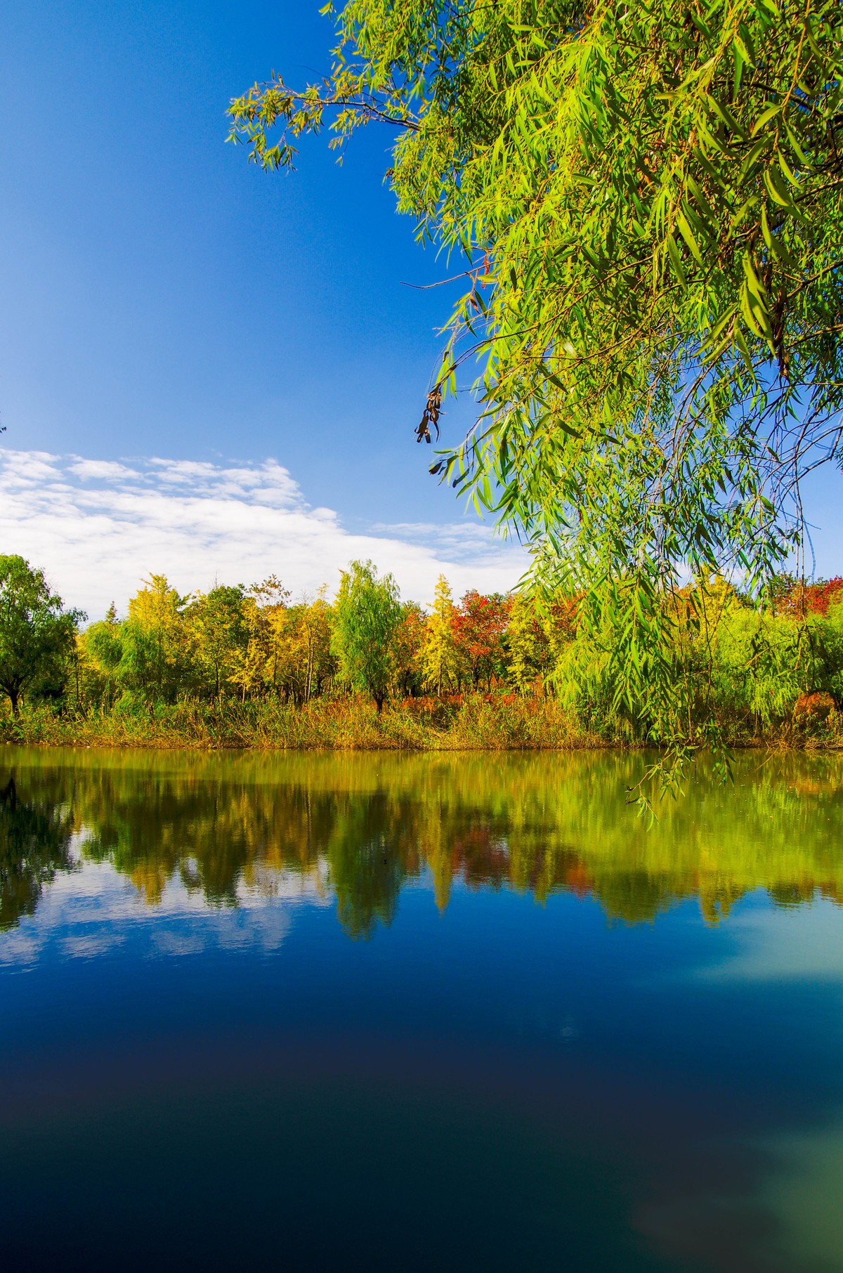 好几年不来星空(中国)了，老机老头发几张！