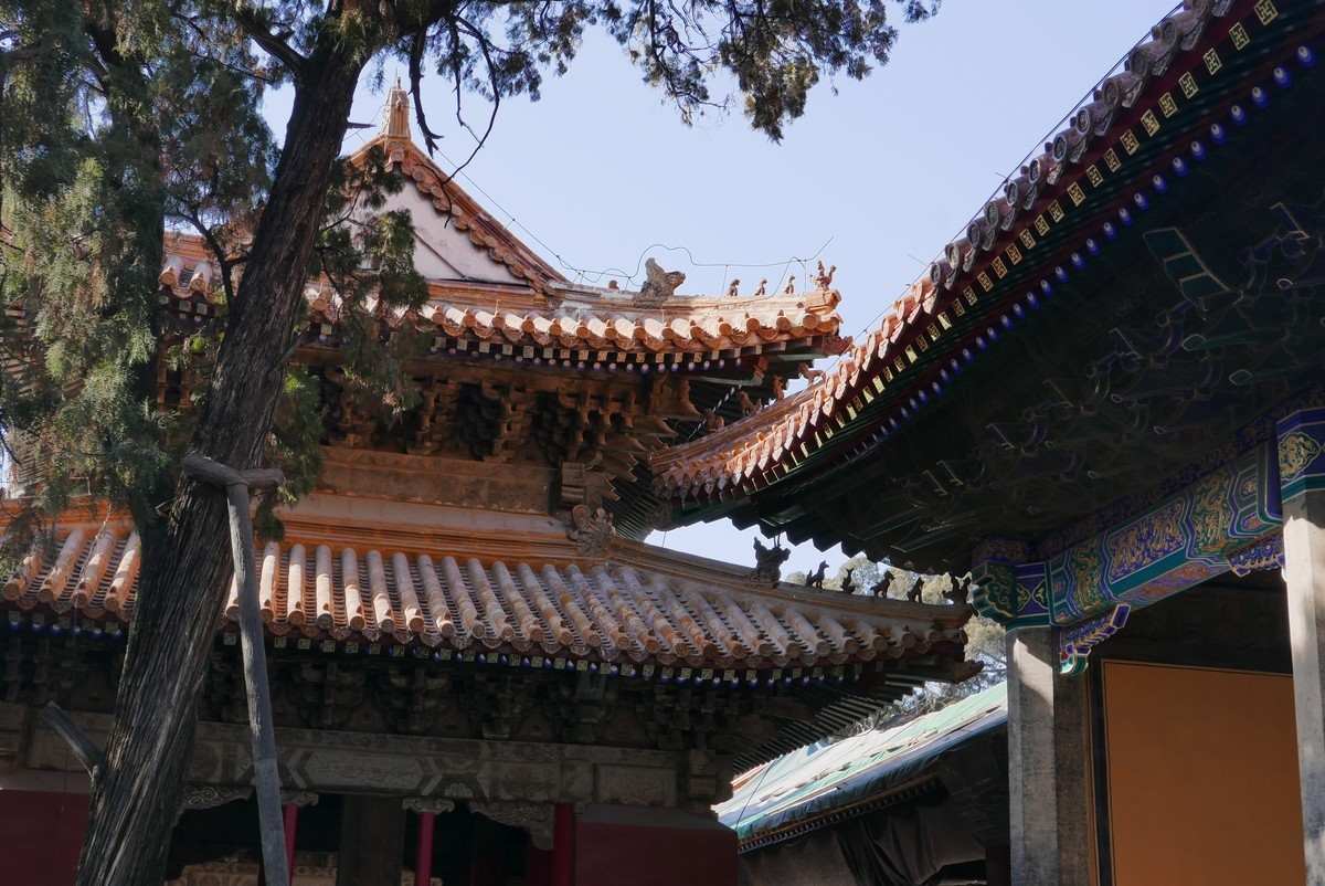 建筑瑰宝：曲阜孔庙之勾心斗角