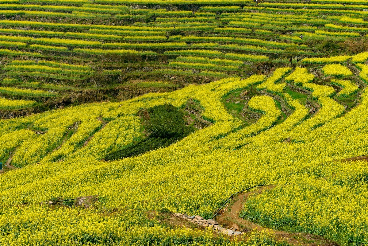 覆卮山景区（上）