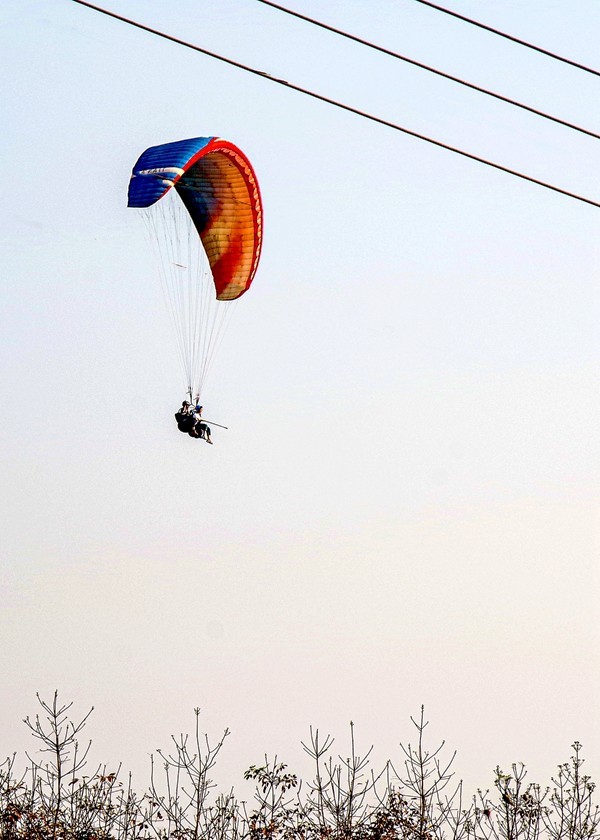 西双版纳--橄榄坝【1】