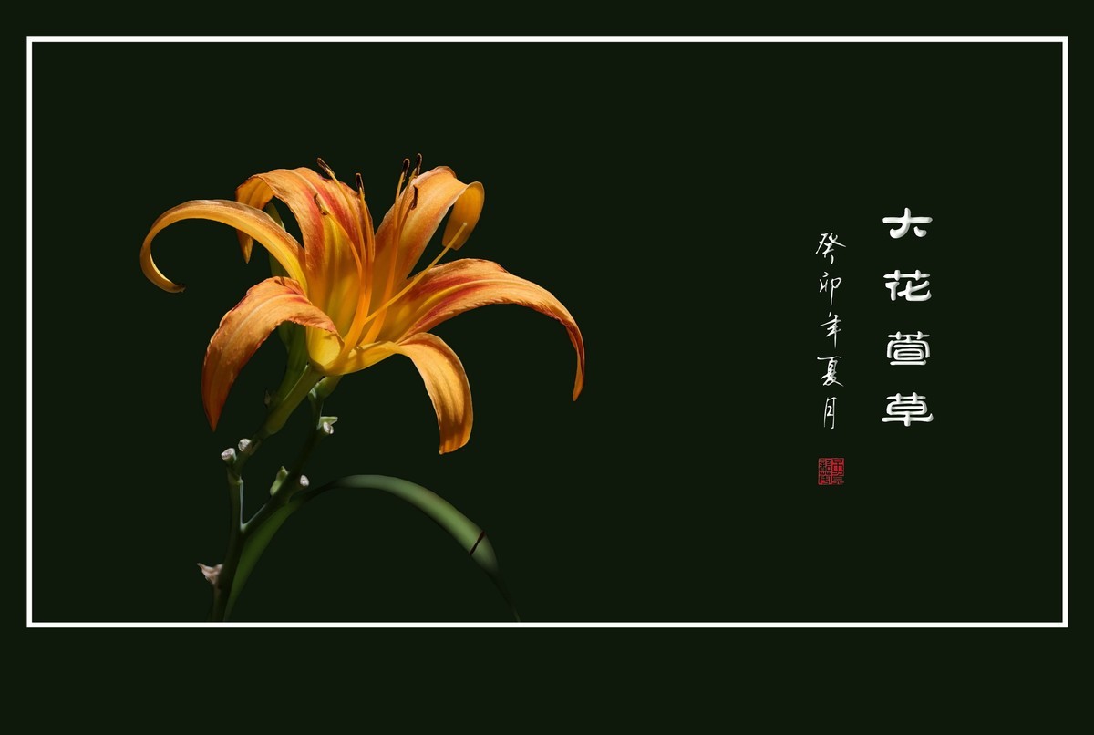 世上常有愁苦人，草尖独放忘忧花