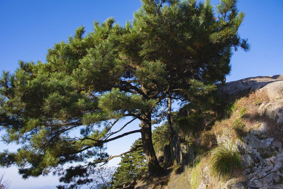 拍照狂魔之徒步九华山3【10P】